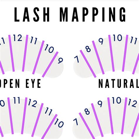 Printable Lash Mapping Template